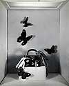Nemours Exhibit - June - 1952