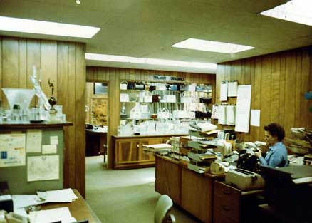 Wilardy Originals Office